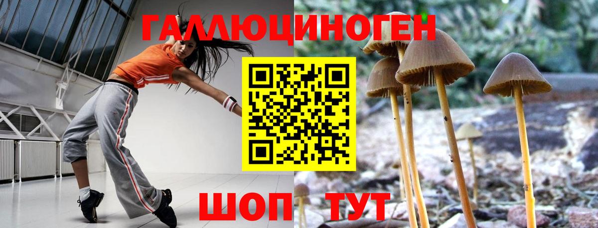 Керчь  закладки  Вход с VPN  Галлюциногенные грибы MAGIC MUSHROOMS 